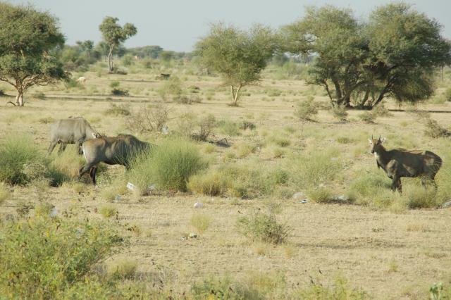 Urlaub in Indien 2016